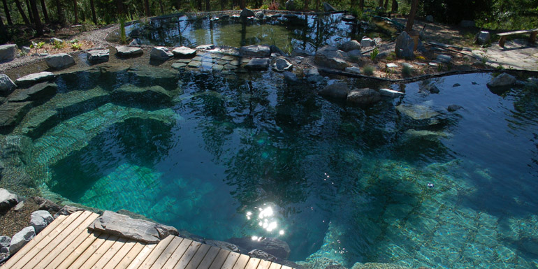 Natural Pools Southlake 1