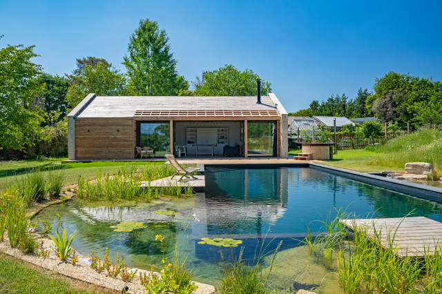 Natural Pools Southlake 3